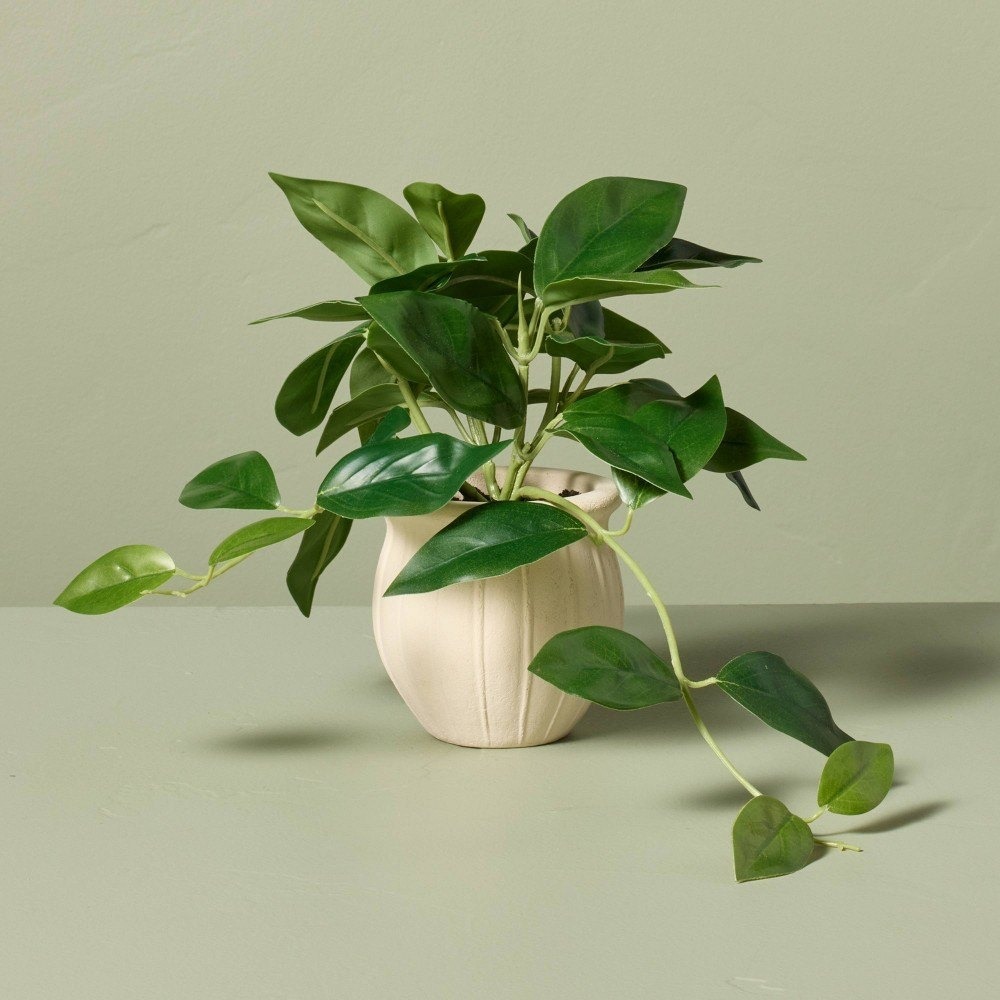 8" Faux Mini Trailing Hoya Plant - Hearth & Hand Magnolia, Target